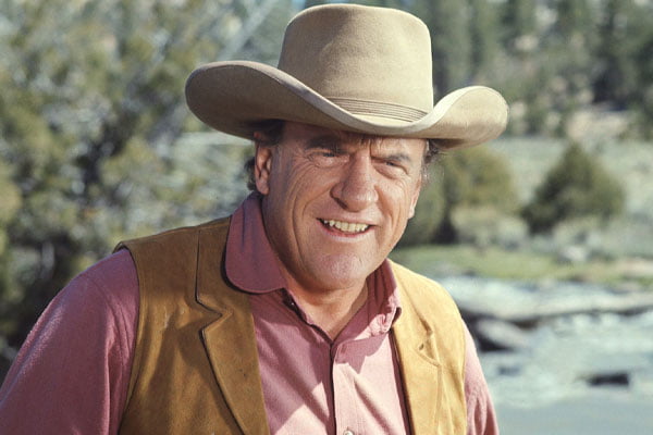 Jenny Lee Arness Wiki Cause Of Death October 2024   James Arness 