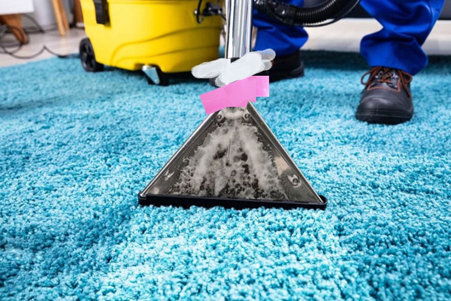 What to Expect From a Professional Carpet Cleaning Service