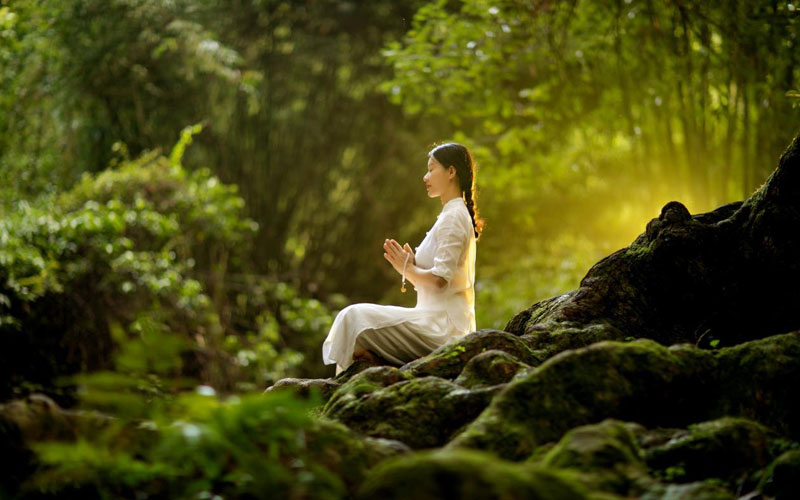 The Healing Power Of Forest Bathing: Embracing Nature's Therapy ...